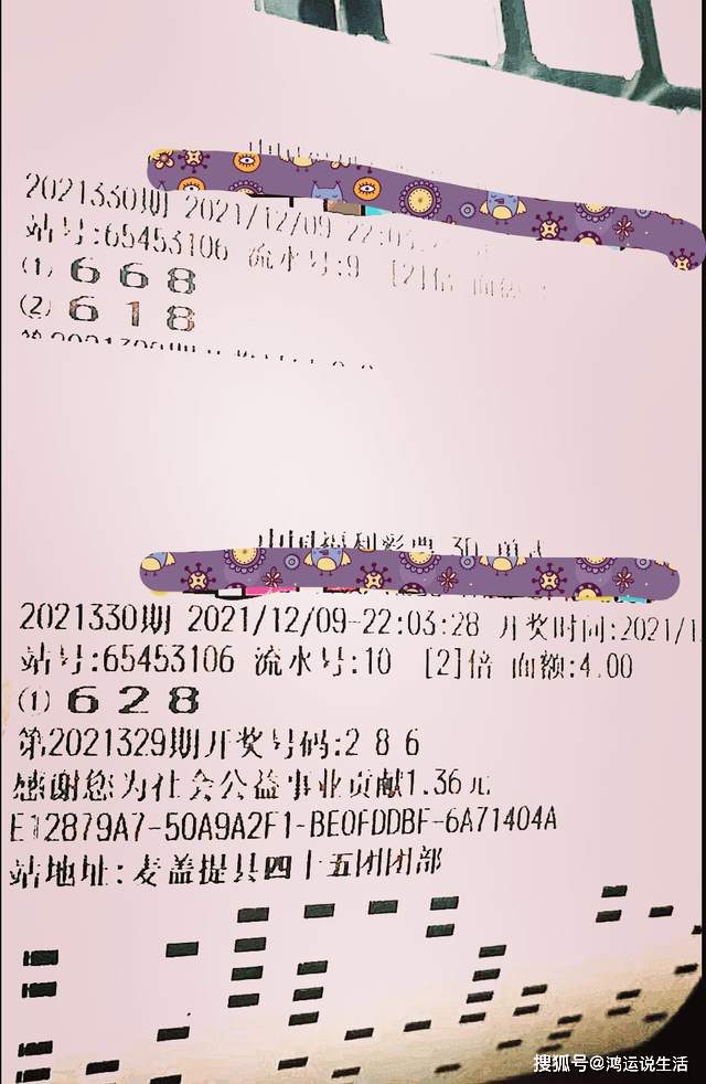 密西根最新选票揭晓，重塑未来之路