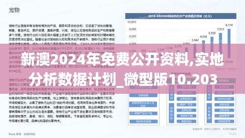 新澳2024年精准正版资料,稳定性策略设计_娱乐版37.481